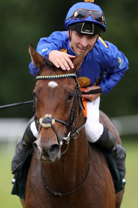 Leitbild für Fantastic Moon als Deckhengst