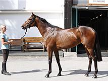 Sarah Steinberg mit Fantastic Moon