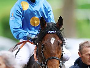Zauberkönig siegt unter Sibylle Vogt