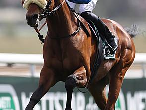 Aquaman siegt unter Leon Wolff