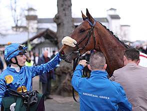 Aquaman siegt unter Leon Wolff