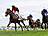 Dardanos siegt unter Wladimir Panov im IDEE 157. Deutsches Derby - Gr. 1