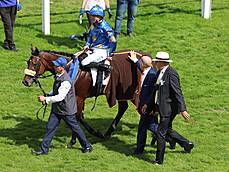 IDEE 155. Deutsches Derby Gr.1: Palladium siegt unter Thore Hammer-Hansen