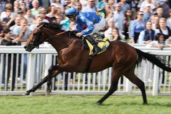 Winning Spirit siegt unter Rene Piechulek im Preis der BBAG Jährlingsauktion