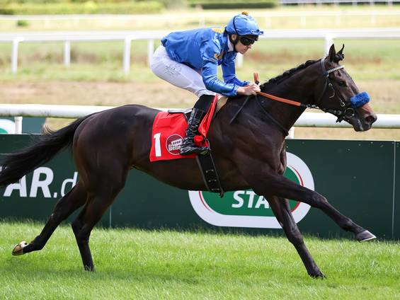 Chiefland (IRE)