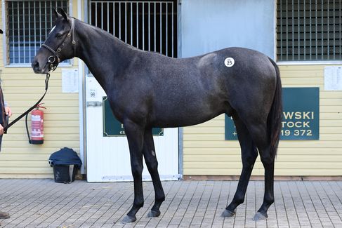 Lot 25 NN a.d. Ghaim