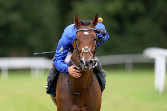 Derby winner FANTASTIC MOON is back - wins Grand Prix at Cologne