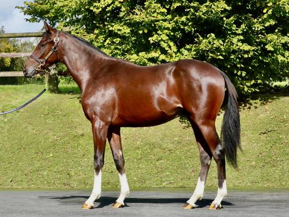 Kairos (FR)