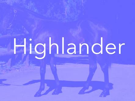 Highlander 