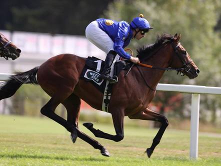 Winning Spirit