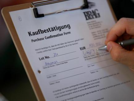 Liberty Racing syndicates: How the auction purchases are distributed