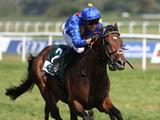 First Japan, then Stallion: Fantastic Moon to cover at Ebbesloh Stud from 2025