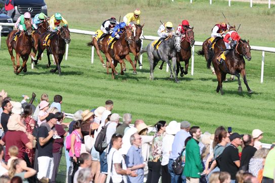 Abacus hervorragender Dritter für Liberty Racing 2024 Platin im Auktionsrennen in Baden-Baden