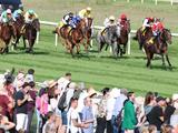 Abacus hervorragender Dritter für Liberty Racing 2024 Platin im Auktionsrennen in Baden-Baden