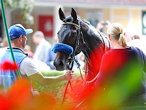 Chiefland siegt unter Leon Wolff