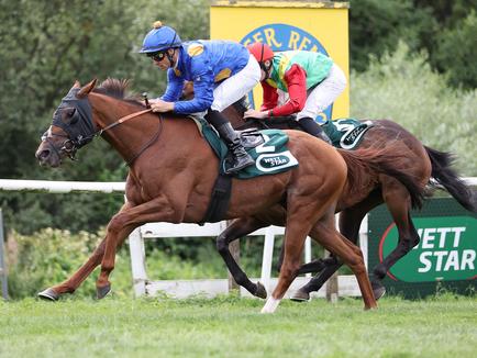 Liberty Racing 2023 Kings: ANTINORI feiert in Bad Harzburg zweiten Karrieresieg