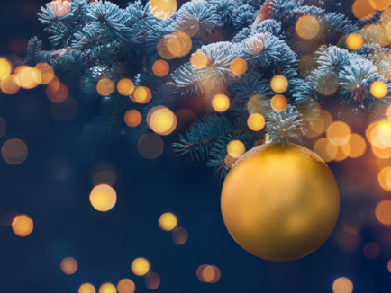 Liberty Racing wishes a very Merry Christmas