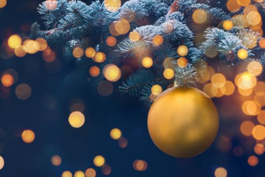 Liberty Racing wishes a very Merry Christmas