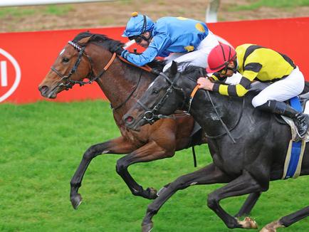 ZAUBERKÖNIG conjures up the 2,000th win for coach Peter Schiergen on his annual debut