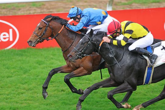ZAUBERKÖNIG zaubert beim Jahresdebüt den 2.000. Sieg für Trainer Peter Schiergen