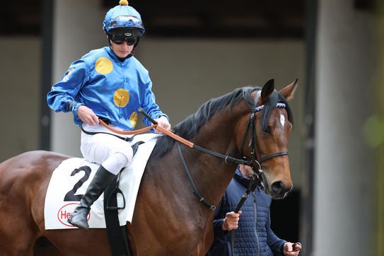 ZAUBERKÖNIG finishes Sixth in 142th Derby Italiano (Gr.2)