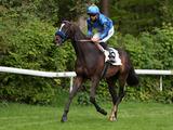 Derby im Blick! Speedstarker AMICO überzeugt in München über 2.000 Meter