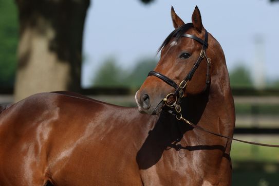 A Heart for breeders - New Conditions for 2026 breeding season