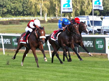 Two-year-old Zauberkönig earns Black Type in second career start