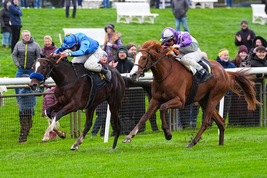 2YO KAIROS triumphs in second time out on Listed level at Hanover