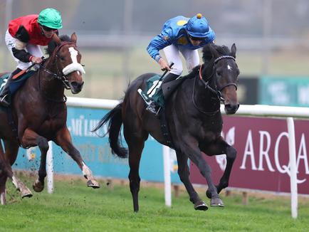 2YO NEW ENGLAND convincing Black Type winner on second time out