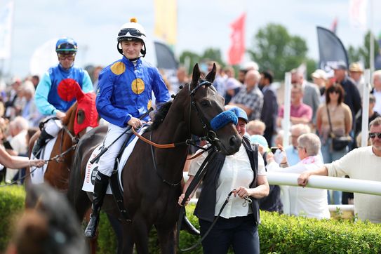 Starker Auftritt vom Derby-Zweiten CHIEFLAND im Gr.2 Qatar Prix Niel 