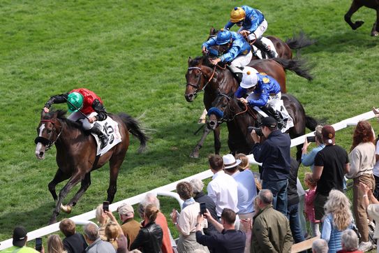 Ein HAMMER-ERgebnis für Liberty: CHIEFLAND, Salitos, Kairos 2 - 3 - 4 im IDEE 157. Deutschen Derby (Gr.I)