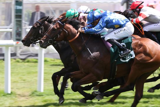 ARGENTUM strong runner-up in BBAG auction race on Derby Day