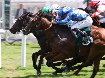 ARGENTUM strong runner-up in BBAG auction race on Derby Day