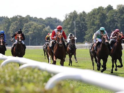 ARGENTUM finishes fourth against the older horses in the Gr.3 Fürstenberg-Rennen