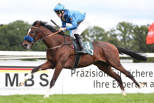 2YO KAIROS very impressive on debut at Cologne