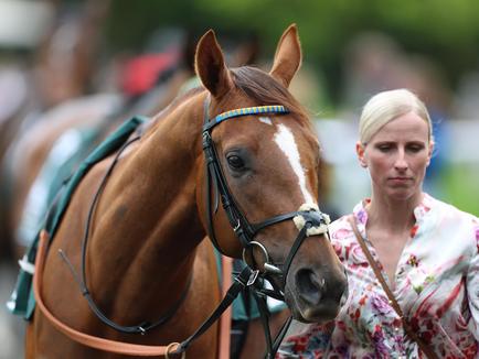 Adlerflug son ANTINORI breaks maiden at Munich for Liberty Racing 2023 Kings