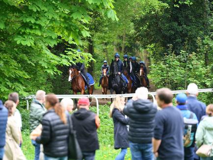 Viel Freude und Streicheleinheiten beim Besuch der Rennställe