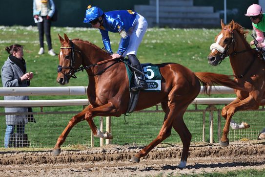 2023 Syndicates on course for the 2025 Derby: Diamond Spirit, Warasch, Antinori and Amico
