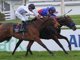 ASSISTENT is the BOSS! We congratulate Eckhard Sauren and team on their Gr.1 triumph