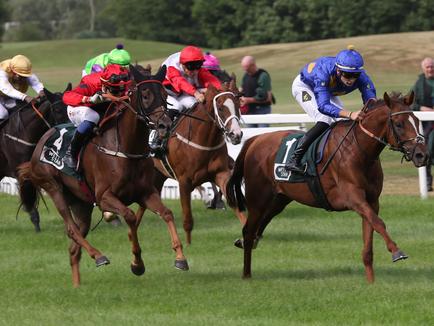 Adlerflug-Sohn Antinori feiert Maidensieg in München für Liberty Racing 2023 Kings
