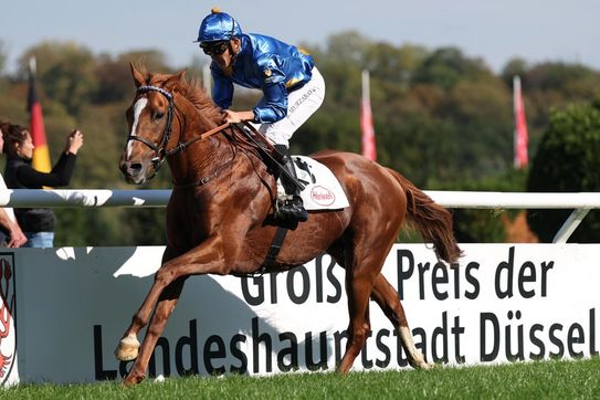 Daytona bärenstarker Vierter im Grand Prix du Nord (LR) in Chantilly