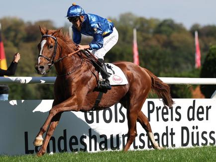 DAYTONA loses opponents in comeback at Duesseldorf